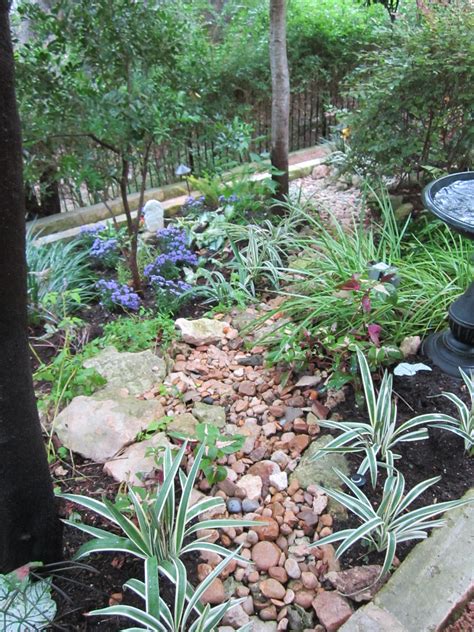 Shade Plants For Central Texas Lisas Landscape And Design
