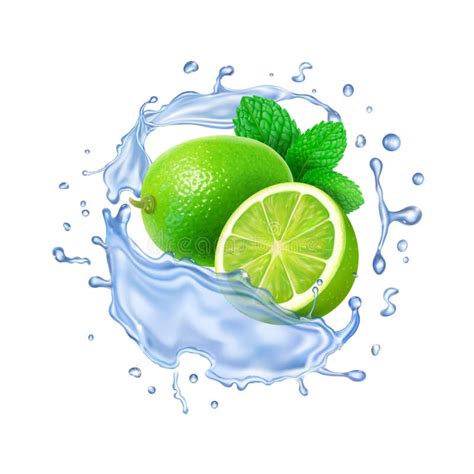 Realistic Transparent Splash Mojito Mint Leaves Water Splash And Lime
