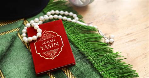 Surah Yasin Full Its Importance Quotes And Benefits