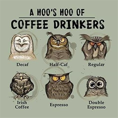 Pin By Jasmine On Parfou Coffee Drinkers Coffee Quotes Coffee Humor