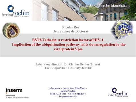 Bst2tetherin A Restriction Factor Of Hiv 1 Implication Of The