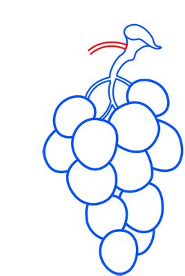[Grapes drawing] How to draw Grapes - Easy fruit drawings ...