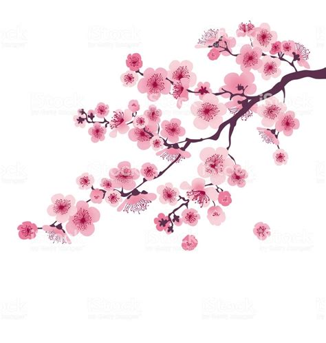 파스텔 컬러 벚꽃의 꽃 벡터 일러스트 레이 션 일본 사쿠라 지점 피 꽃 로열티 프리 벚꽃 벡터 아트 Japan Sakura Blossom Tattoo Clipart