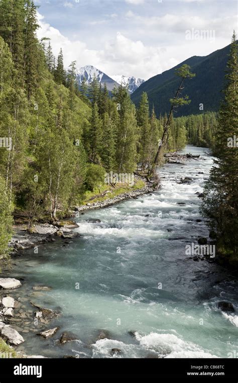 Altai Rivers Hi Res Stock Photography And Images Alamy