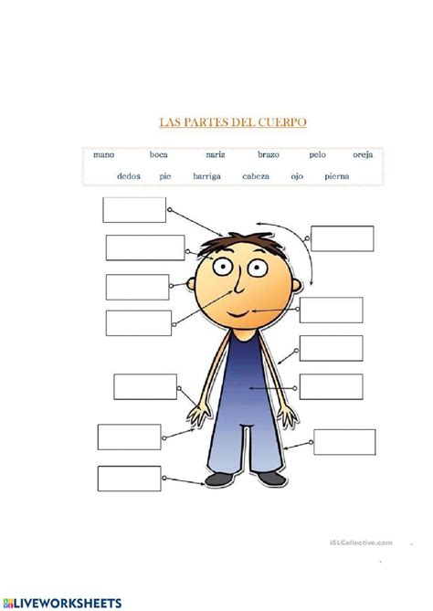 Partes Del Cuerpo Interactive Worksheet Spanish Lessons For Kids