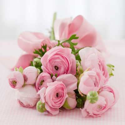Kod rj1 (jenis carnation) : mysweetprincess ::***: 6 warna bunga ros dan maksud ...