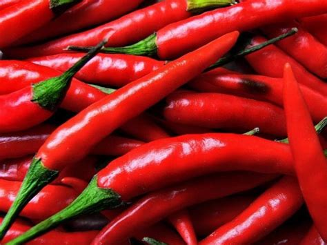 Kami melayani jasa angkutan seperti. Kumpulan Gambar Cabe : Merah, Keriting, Rawit & Mewarnai ...