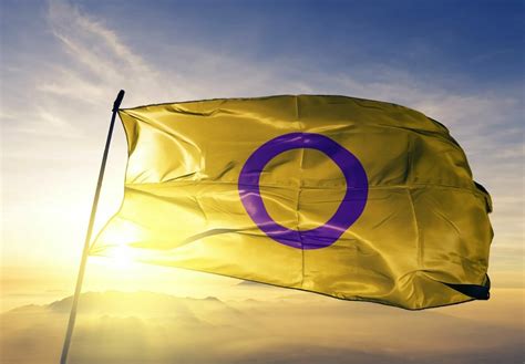 What Exactly Is The Intersex Pride Flag And What Does It Mean