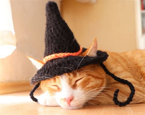 Crochet Pattern Witch Hat For Cats Pdf Instructions For