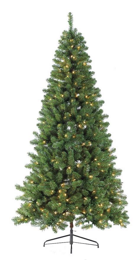 6ft Virginia Spruce Pre Lit Puleo Christmas Tree Tong Garden Centre