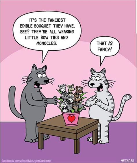Pin By Sandy Ayres On Cats Furry Rulers Of The World Kittens Funny