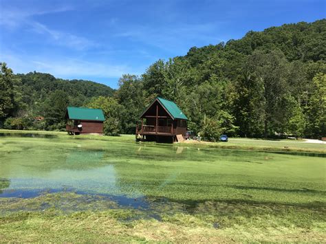 On the street of natural bridge road and street number is 1231. Water View | Natural Bridge Cabin