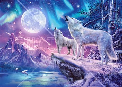 Light Wolf Wallpapers Top Free Light Wolf Backgrounds Wallpaperaccess