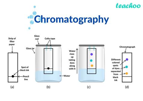 What Is Chromatography Gas Liquid Chromatography Hplc Chemical