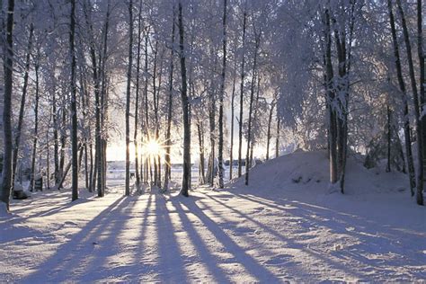 Winter Solstice Renewal: A Yoga WorkshopSaturday December 21 @ 500pm ...