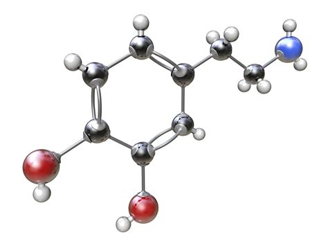 Bonds Definition And Examples In Chemistry Chemical Bond Chemistry Bond