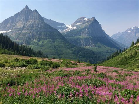 744283 Glacier Montana Parks Mountains Scenery Grass Rare