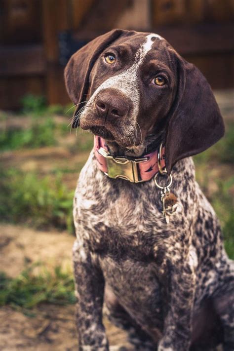 Short Black Haired Actresses - Actresses Under 18