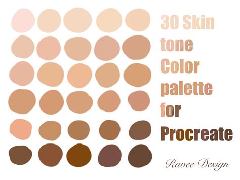 30 Skin Tone Palette Colors Paint For Procreate App Instant Download