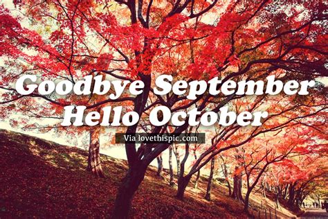 Red Tree Goodbye September Hello October Image Pictures Photos And