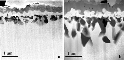 Stem Dark Field Images Of Fib Cross Sections Of The Alloy 1 Oxidized