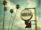 Recreational Marijuana California Laws Images