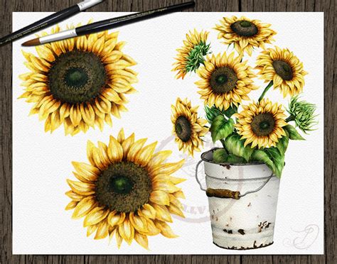 Watercolor Sunflower Clipart Clip Art Summer Sun Flower | Etsy