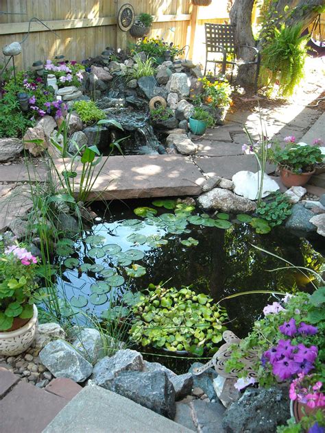 Small Ponds For Backyard