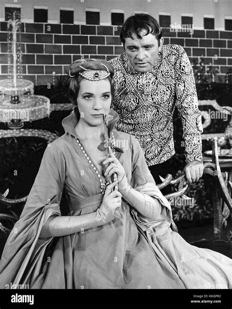 Richard Burton And Julie Andrews Camelot Stock Photo Alamy