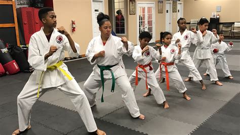 Mixed Martial Arts Bellaire Karate Classes Self Defense Classes And