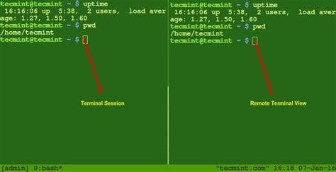 How To Host Multiple Linux Terminals For Viewing And Collaboration With