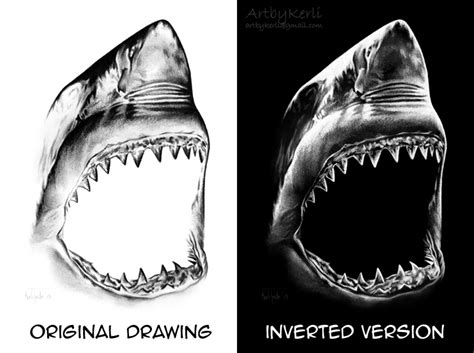 How to draw circles in perspective for beginners. Shark (invert drawing) by ArtbyKerli on DeviantArt