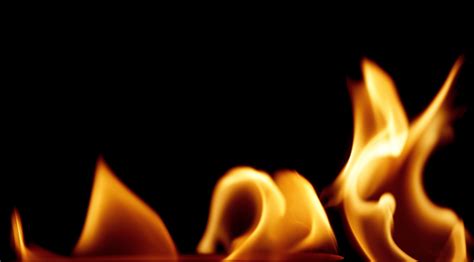 Free Photo Fire Flames Barbecue Fire Wallpaper Free Download