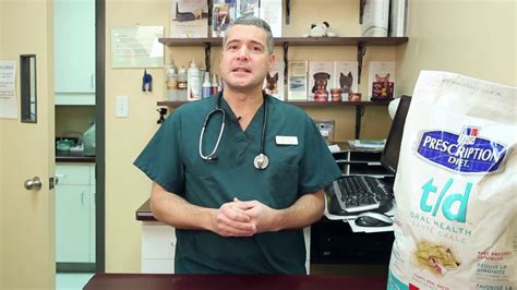 When you are looking for a veterinary hospital and pet resort you can count on our. Veterinarian Advice - Choosing A Pet Food (Centre Street ...