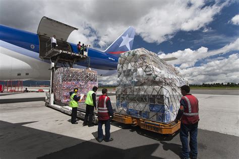 How Cargo Airlines Transport Flowers