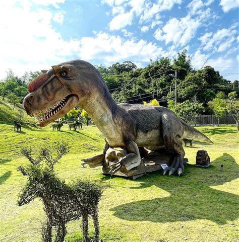 【南投】台版侏羅紀公園來了！ 盛大開幕「九九峰動物樂園」亮點票價一次看 超巨大恐龍、天網鳥籠必打卡！ Tripgo 旅行趣