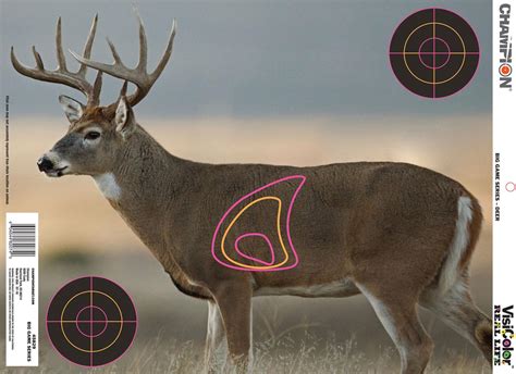 Champion Targets 45828 Visicolor Real Deer