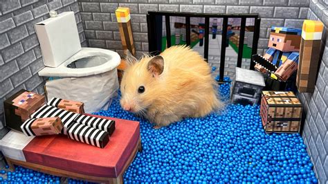 🐹 Hamster Escapes The Minecraft Jail Maze 😲 Real Life Police Traps For