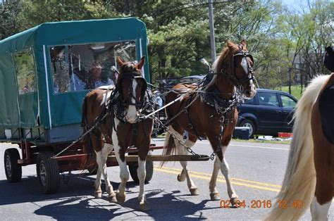 2016 April 2 Mule Day Parade In Columbia Tennessee Mule Days