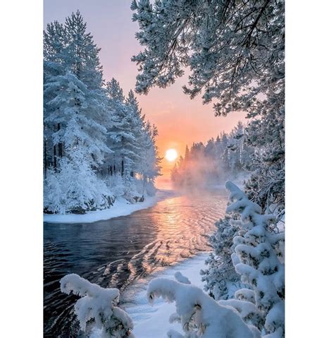Winter Snow Scene Photography Backdrop With Sunset Photo