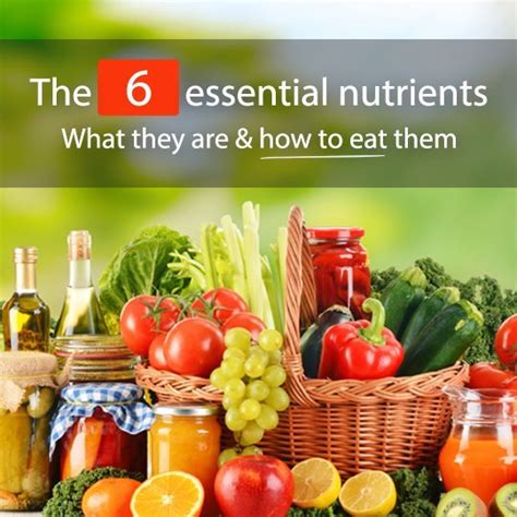 La Comprensión De Los 6 Nutrientes Esenciales Y Cómo Consumirlos Ot