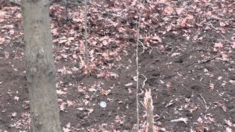 A copy of buyer's driver's license or id card shall be attached, faxed, emailed or mailed to seller. Tannerite fun - YouTube