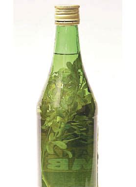Elaborada siguiendo una receta casera. Cultura Guaraní: Caña con ruda, una sana y antigua ...