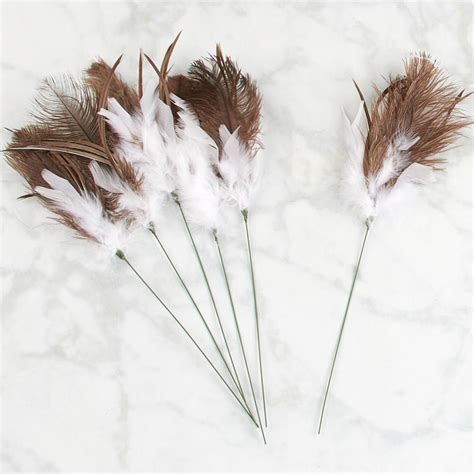 Check spelling or type a new query. White Ostrich Feather Sprays - Feathers - Basic Craft ...
