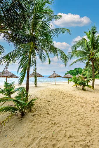 Tien Sa Beach Playa Paradisíaca En El Paisaje De La Costa Tropical En