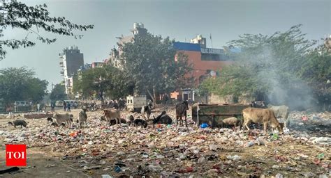Improper Waste Management Times Of India