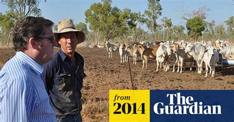Drought Stricken Queensland Farmers Still Waiting For Promised Federal Relief Drought The