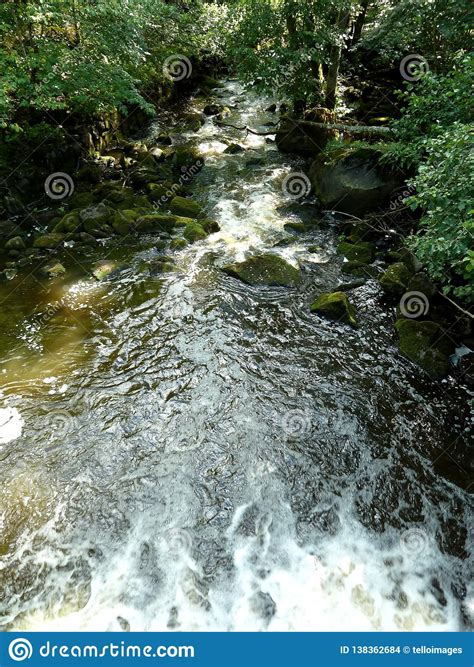 Fast Flowing Water In The Forest Stock Photo Image Of Blue Flow