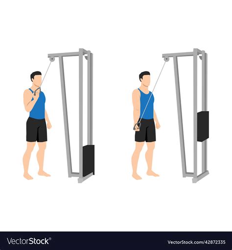 Man Doing Single Arm Cable Triceps Extension Vector Image