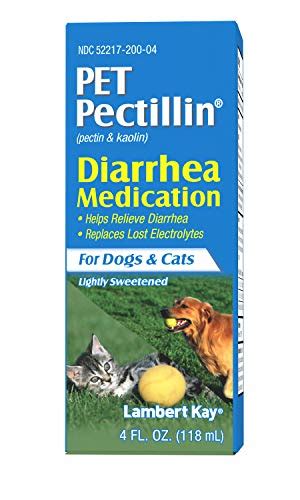 7 Best Dog Diarrhea Remedies Supplements And Relief Aids In 2020